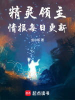 小说《精灵领主，情报每日更新》封面