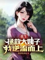 小说《重生拯救大姨子，我逆流而上》封面