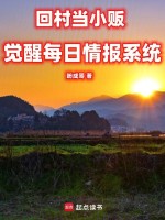 小说《回村当小贩，觉醒每日情报系统》封面