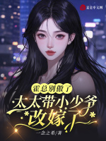 小说《霍总别傲了，太太带小少爷改嫁了》封面
