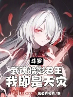 小说《斗罗：武魂暗影君王！我即是天灾》封面