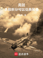 小说《亮剑：杀敌积分可以兑换装备》封面