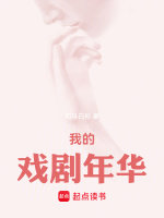 小说《我的戏剧年华》封面