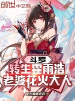 小说《斗罗：转生霍雨浩，老婆花火大人》封面