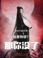 小说《伤害转移？那你没了！》封面
