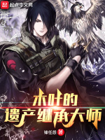 小说《木叶的遗产继承大师》封面