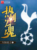 小说《热刺之魂》封面