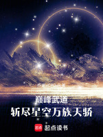 小说《巅峰武道：斩尽星空万族天骄》封面