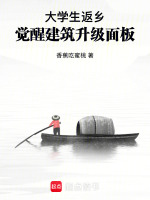 小说《大学生返乡，觉醒建筑升级面板》封面