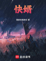 小说《快婿》封面