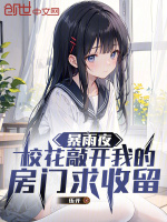 小说《暴雨夜，校花敲开我的房门求收留》封面