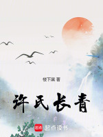 小说《许氏长青》封面