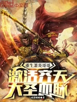 小说《重生萧炎哥哥，激活齐天大圣血脉》封面