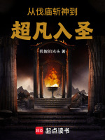 小说《从伐庙斩神到超凡入圣》封面