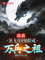 小说《高武：从飞刀开始肝成万兵之祖》封面