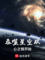 小说《吞噬星空从心之钢开始》封面