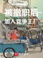 小说《四合院：被撤职后，加入竞争工厂》封面