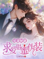 小说《追妻秘籍：求爱甜蜜伪装》封面