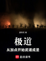 小说《极道：从加点开始武道成圣》封面