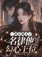 小说《二嫁京圈太子，名律他勾心上位》封面