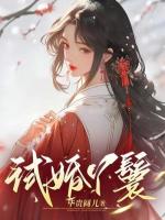 小说《试婚丫鬟》封面