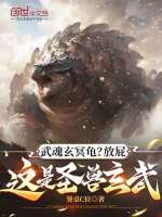 小说《武魂玄冥龟？放屁，这是圣兽玄武》封面