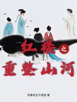 小说《红楼之重整山河》封面