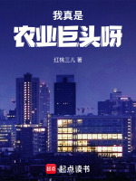小说《1998：我的商业帝国》封面