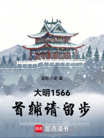 小说《大明1566：首辅请留步》封面