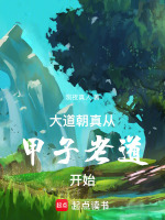 小说《大道朝真，从甲子老道开始》封面