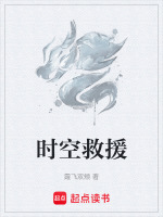 小说《时空救援》封面