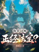 小说《你管这叫正经法宝？》封面