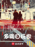 小说《多周目玩家》封面