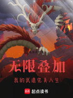 小说《无限叠加：我的武道完美人生》封面