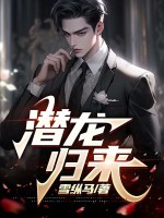 小说《潜龙归来》封面