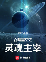 小说《吞噬星空之灵魂主宰》封面