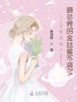 小说《集团破产，顾总养的金丝雀不装了》封面