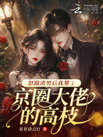 小说《怀了京圈大佬的崽后，我失忆了》封面