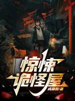 小说《惊悚诡怪屋》封面