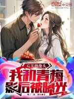 小说《忘关摄像头，我和青梅影后被曝光》封面
