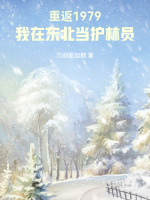 小说《重生79当木匠》封面