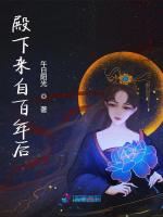 小说《殿下来自百年后》封面