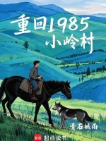 小说《重回1985小岭村》封面
