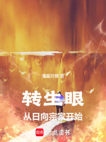 小说《转生眼从日向宗家开始》封面