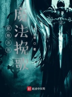 小说《霍格沃茨：魔法挽歌》封面