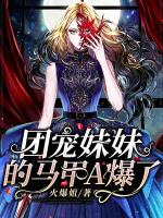 小说《团宠妹妹的马甲A爆了》封面