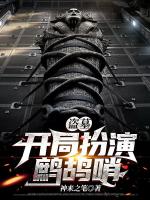 小说《盗墓：开局扮演鹧鸪哨》封面