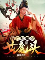 小说《我的师娘是女魔头》封面
