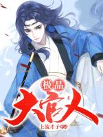 小说《极品大官人》封面