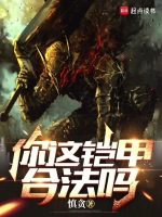小说《你这铠甲合法吗》封面